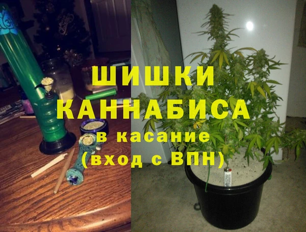 эйфоретик Арсеньев